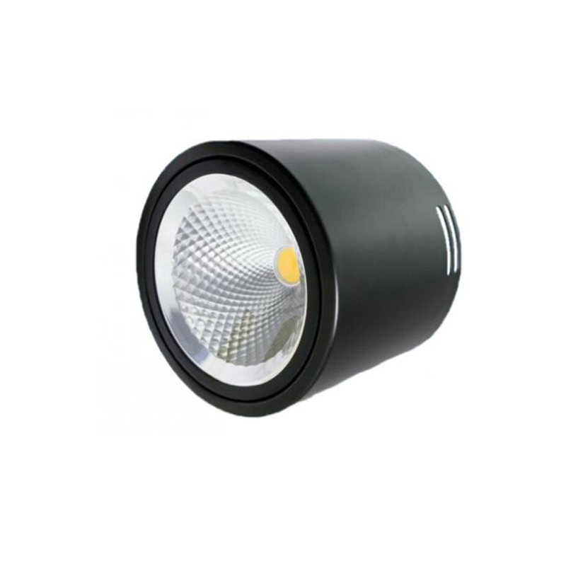 LED Down Light